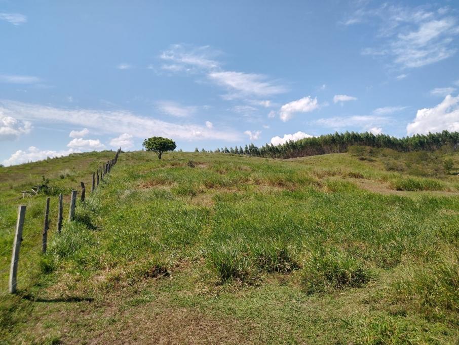 Sítio, 2 hectares - Foto 4
