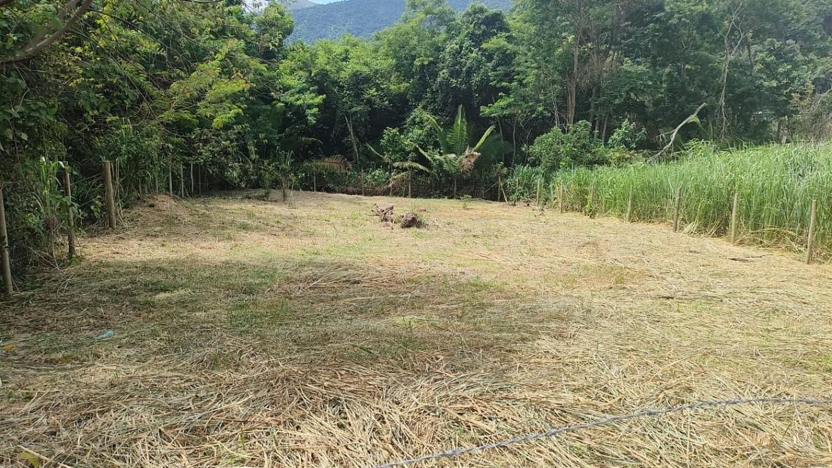 Terreno, 450 m² - Foto 3
